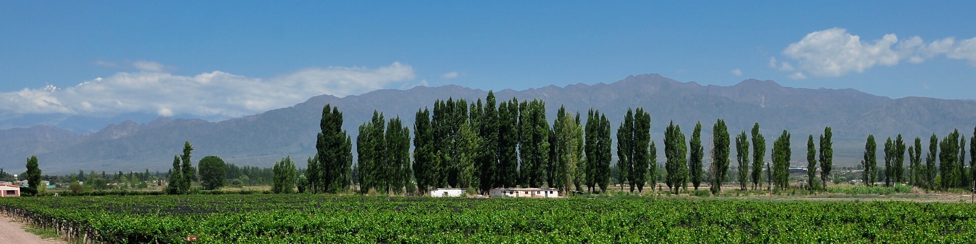 Chile & Argentina Cities & Wines